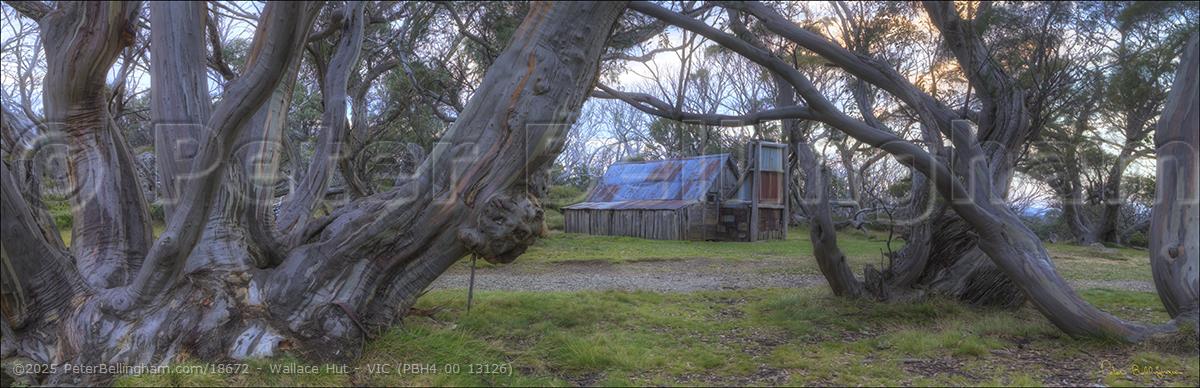 Peter Bellingham Photography Wallace Hut - VIC (PBH4 00 13126)